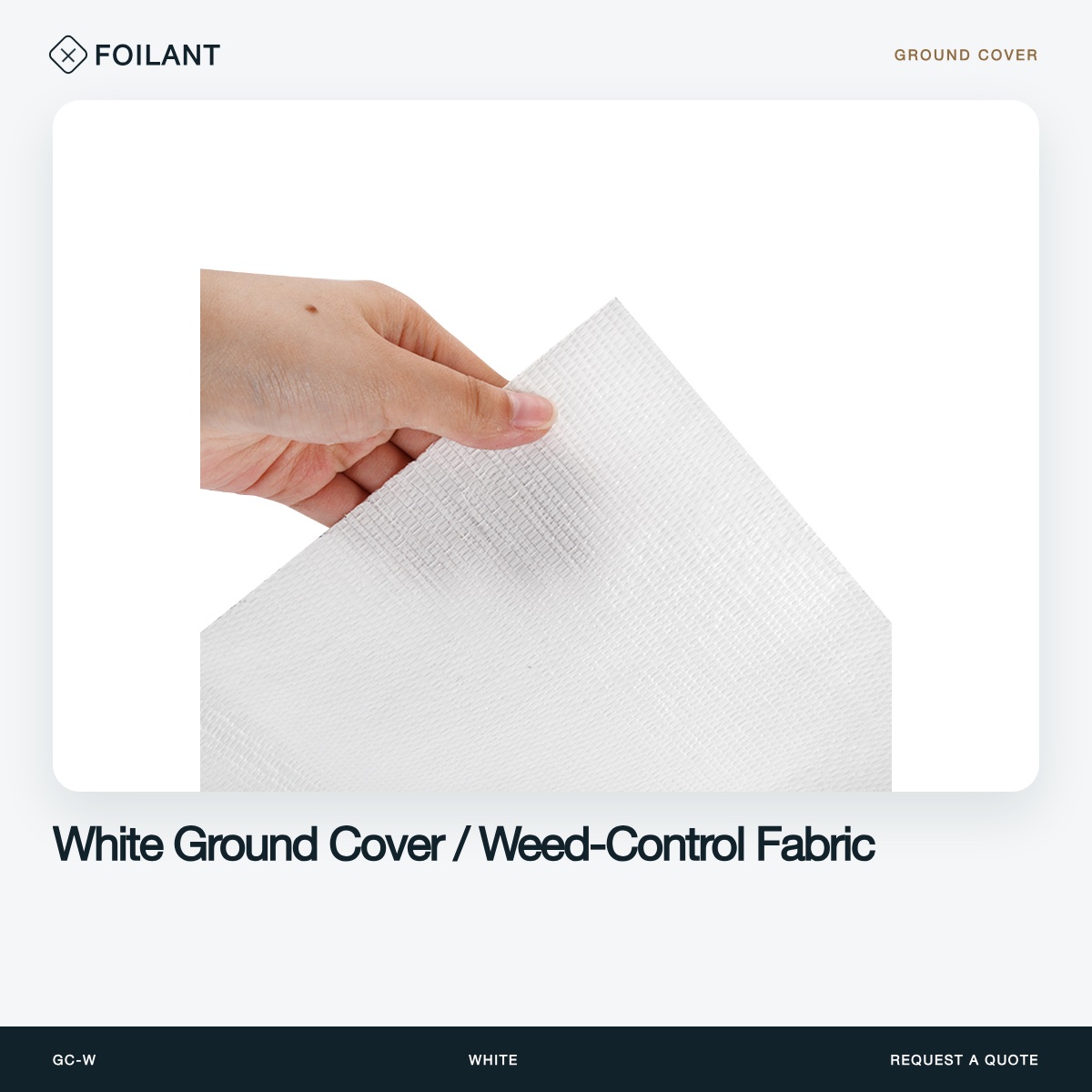 Ground Cover